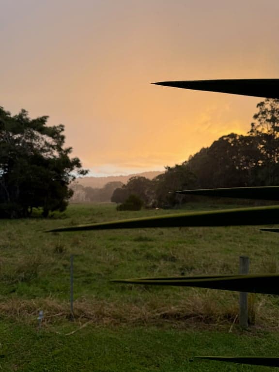 Thumbnail 4 of Saddles, Surf and Sips @ The Rustic Paddock