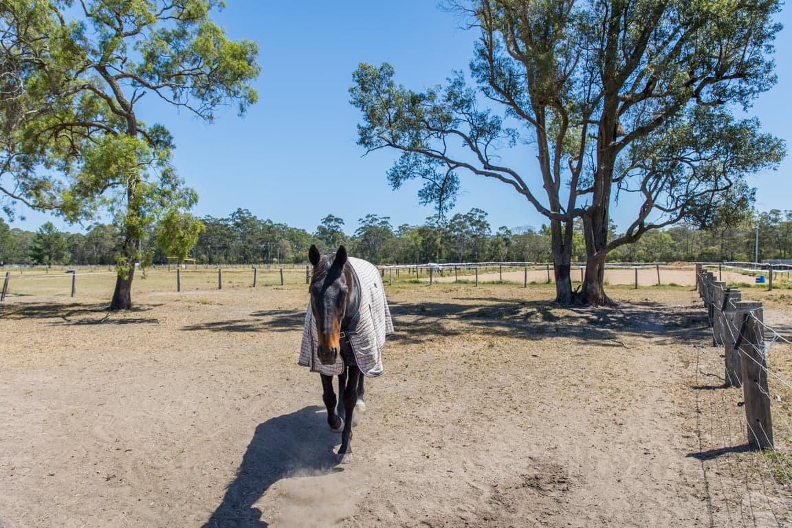 Photo of Overnight Horse Stays & Trail Riding in the Hunter Valle