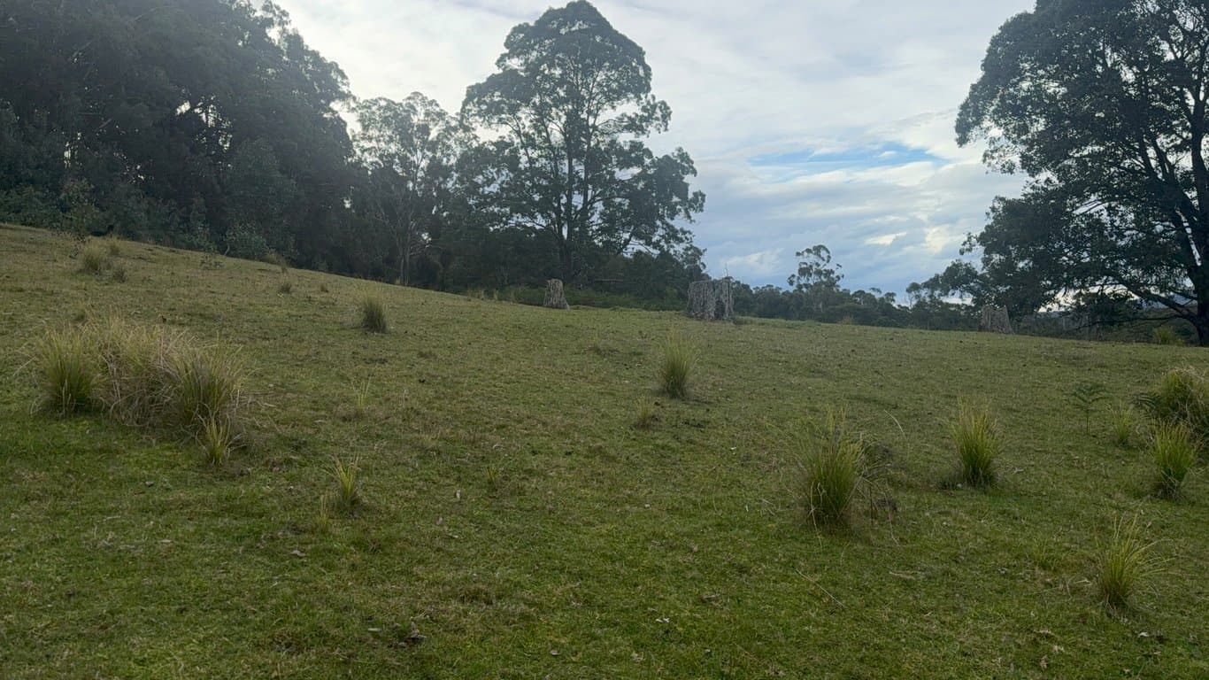 Farm Stay at 400 Acres of Pure Nature, Peace & Tranquillity, Toorloo Arm, VIC (photo 6)