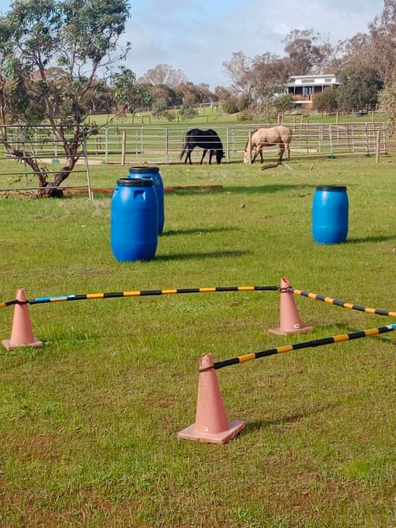 Thumbnail 7 of Short stay holiday with your horse
traveling overnight stays