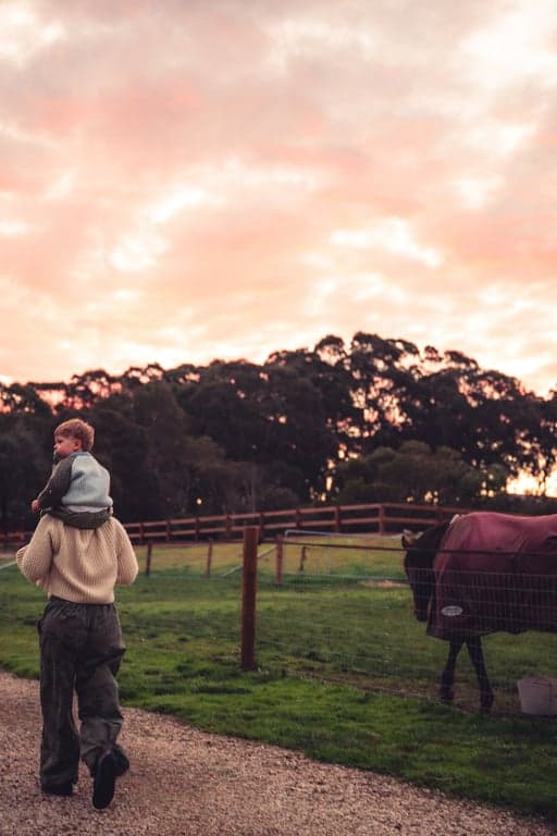 Farm Stay at Historic Barn Accommodation on 6 picture perfect acres., Blakiston, SA (photo 8)