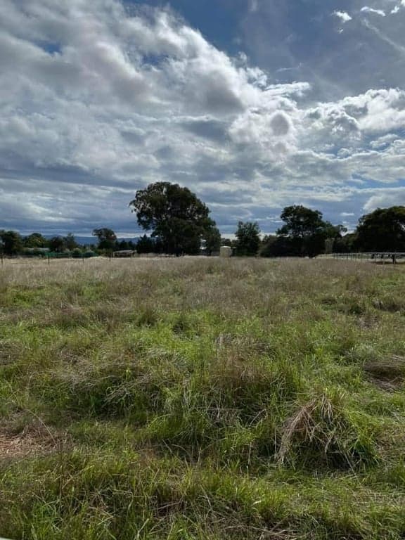 Vellara equine full board agistment, Murrumbateman, NSW (photo 6)