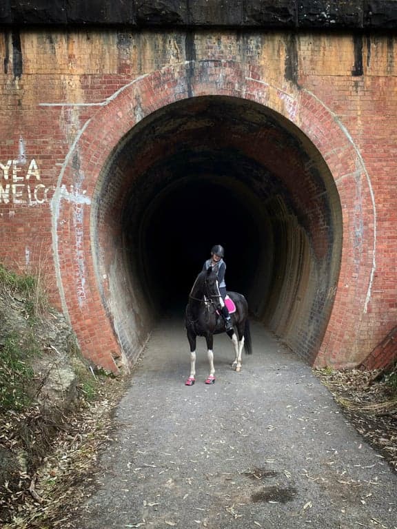Thumbnail 4 of Camping with Horses
