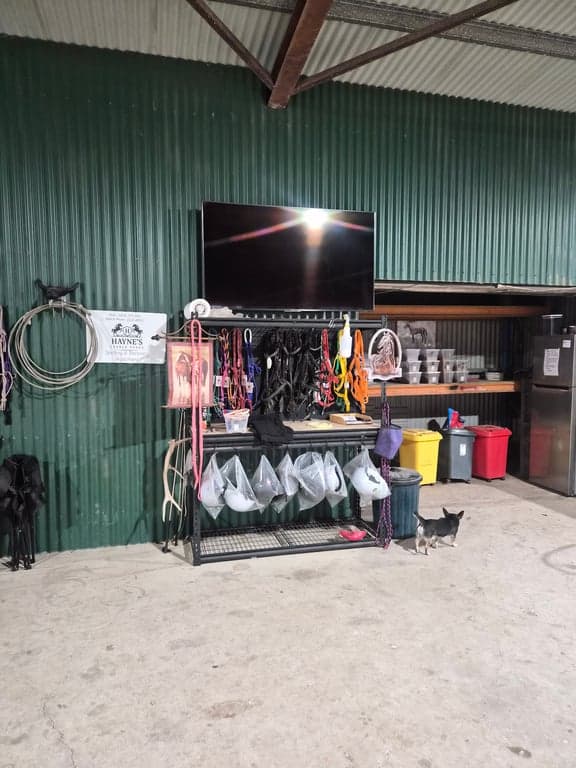 🐴🌿 HORSE & RIDER FARM STAY – HAYNE'S STABLES 🌿🐴, Black River, QLD (photo 6)