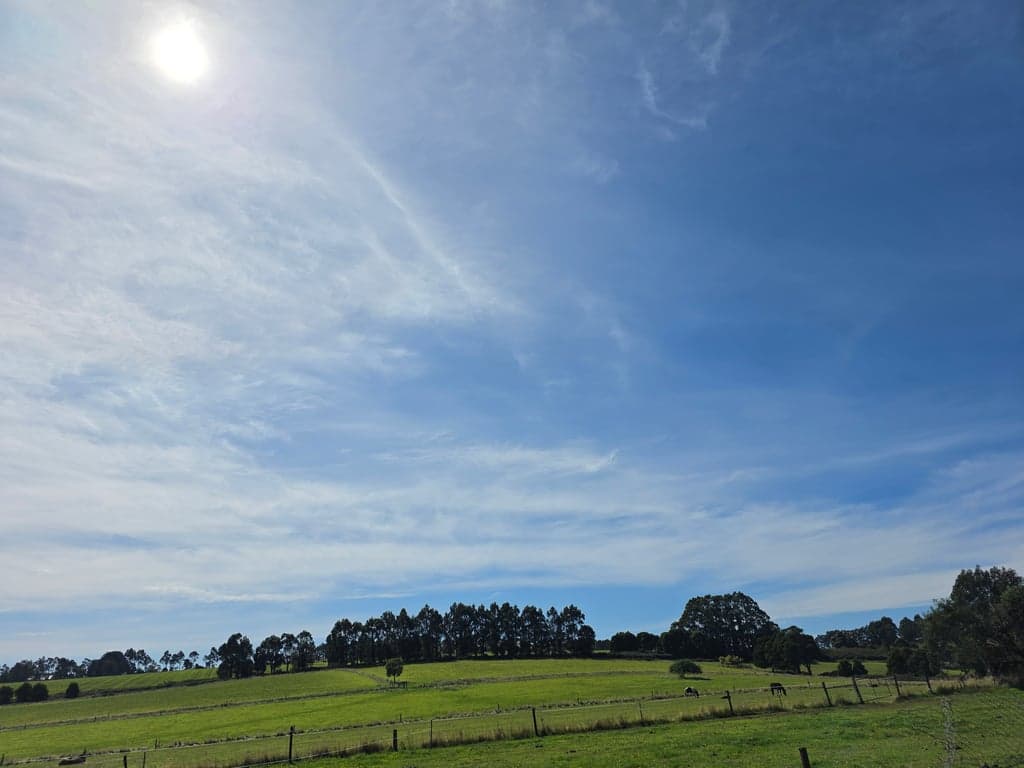 Photo of Wombalee, where horses can be horses