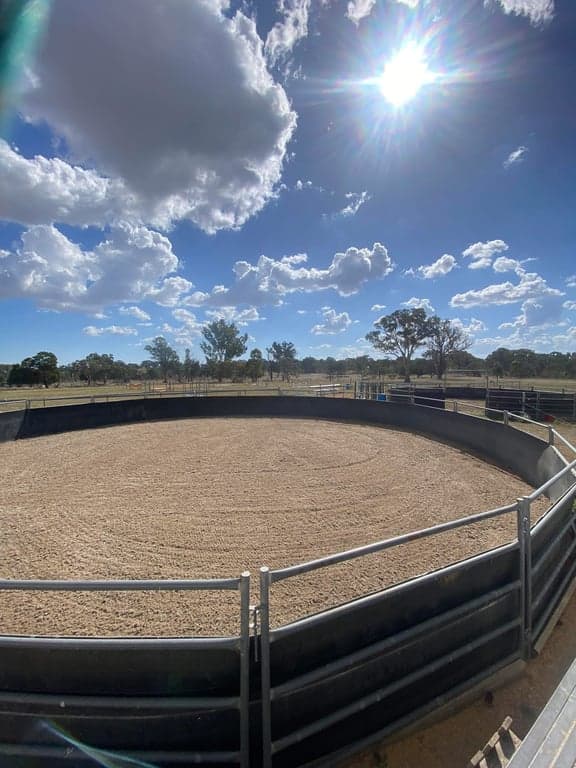 Vellara equine full board agistment, Murrumbateman, NSW (photo 4)