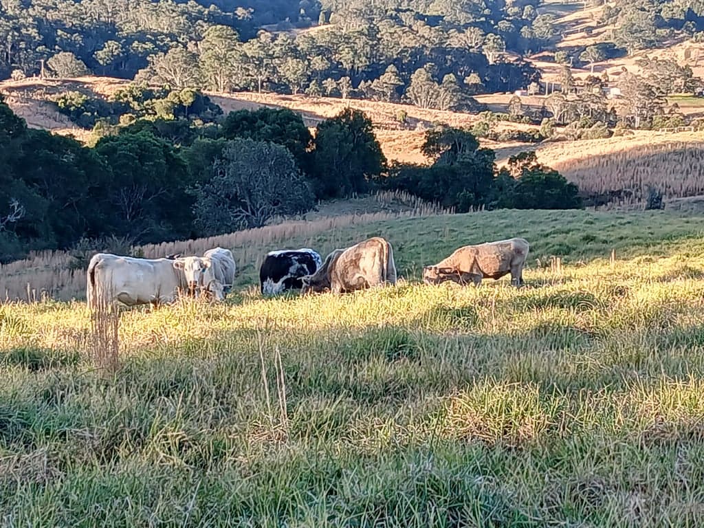 Thumbnail 7 of Homeville Horse Camp
Farmstay