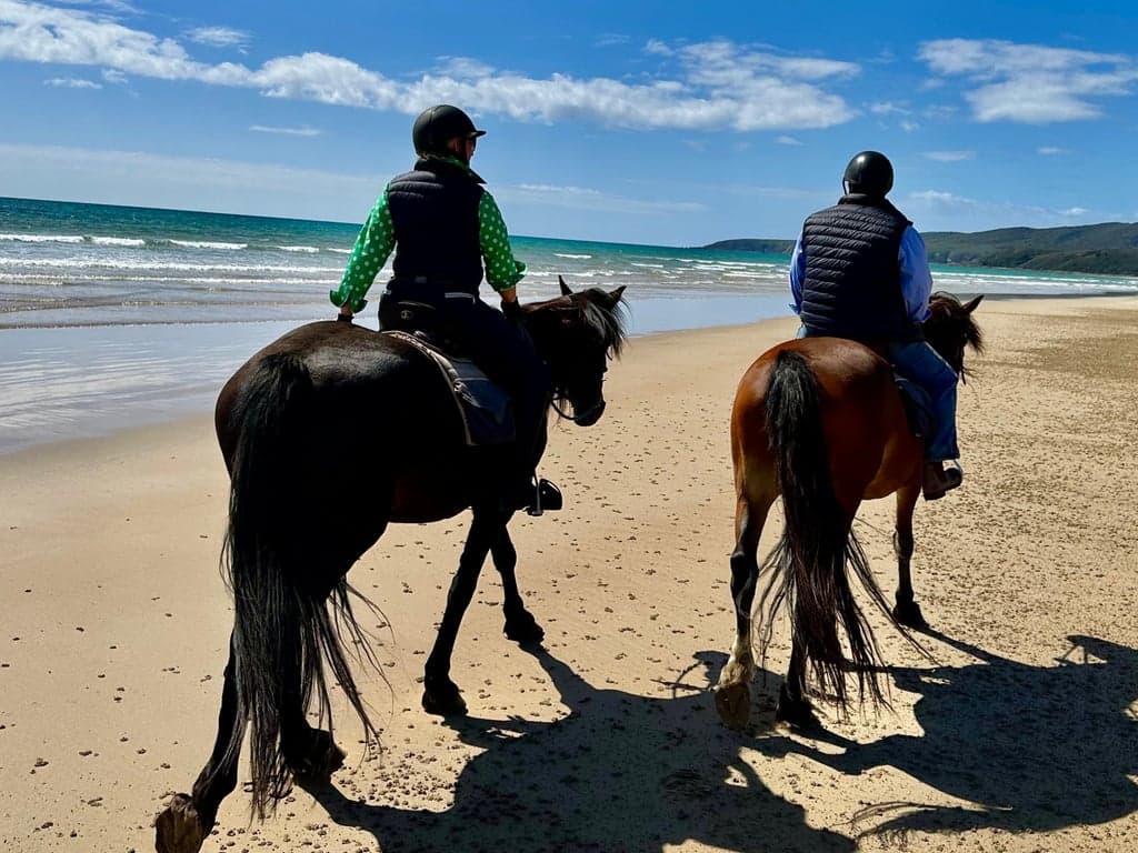 Luxury Equestrian Farmstay | Bring Your Horse to Merilli1885, Currency Creek, SA (photo 5)