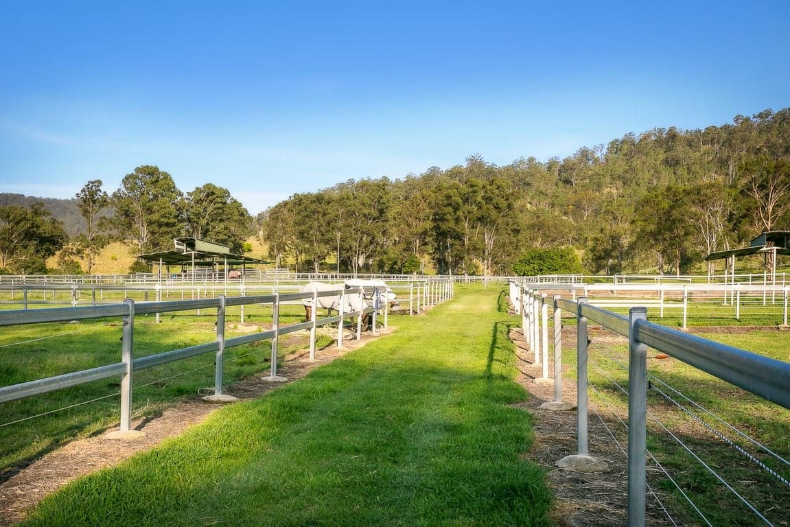 FULL CARE AGISTMENT AVAILABLE WITH FIRST CLASS FACILITIES, Biddaddaba, QLD (photo 6)