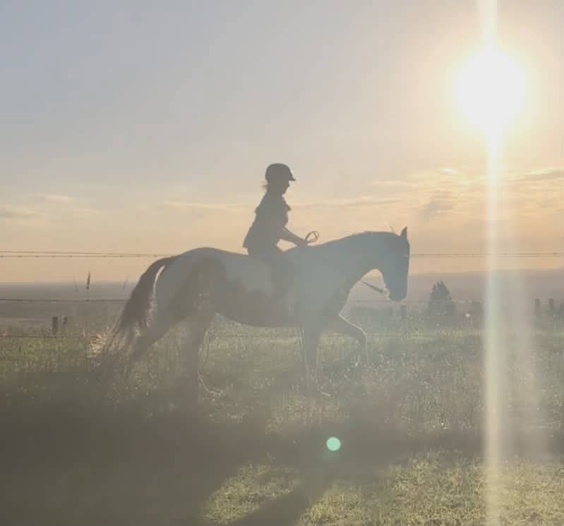 Thumbnail 2 of Farmstays reimagined. Boutique getaways &
Horsemanship stays