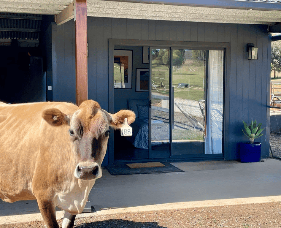 Photo of Accommodation for guests and horses, Gundaroo, NSW