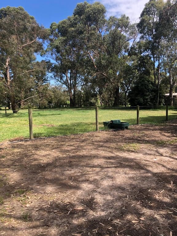 Farm Stay at Sherwood Park bed and breakfast BYO horse, Somerville, VIC (photo 10)