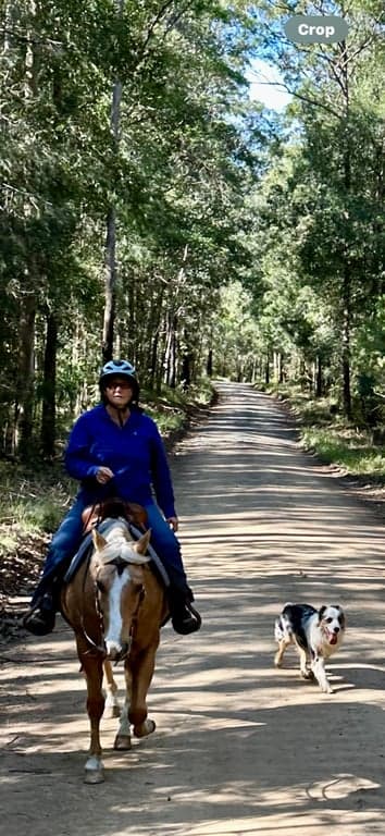 Thumbnail 10 of Beautiful trail & beach rides, holiday or O/N stays.