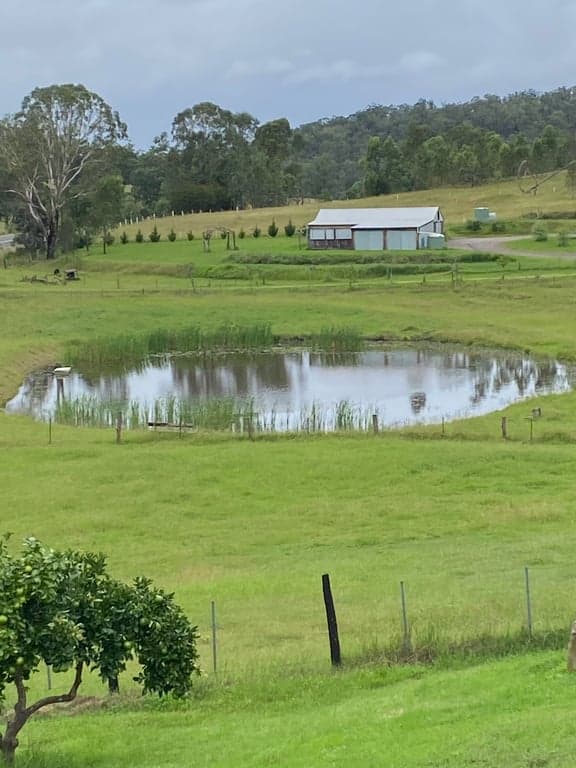 Thumbnail 10 of Mulla Villa Farm with horse agistment