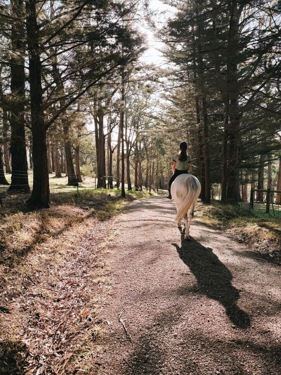 Thumbnail 2 of Harvest Ranch Holiday with your Horse