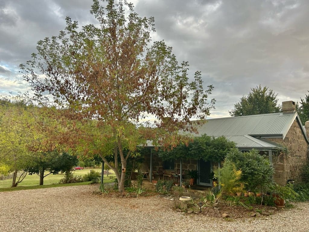 Photo of Cottage stay where your horse is welcome