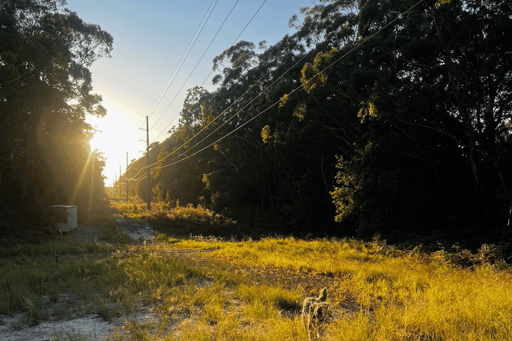 Thumbnail 8 of Short Horse & Camping Stays
