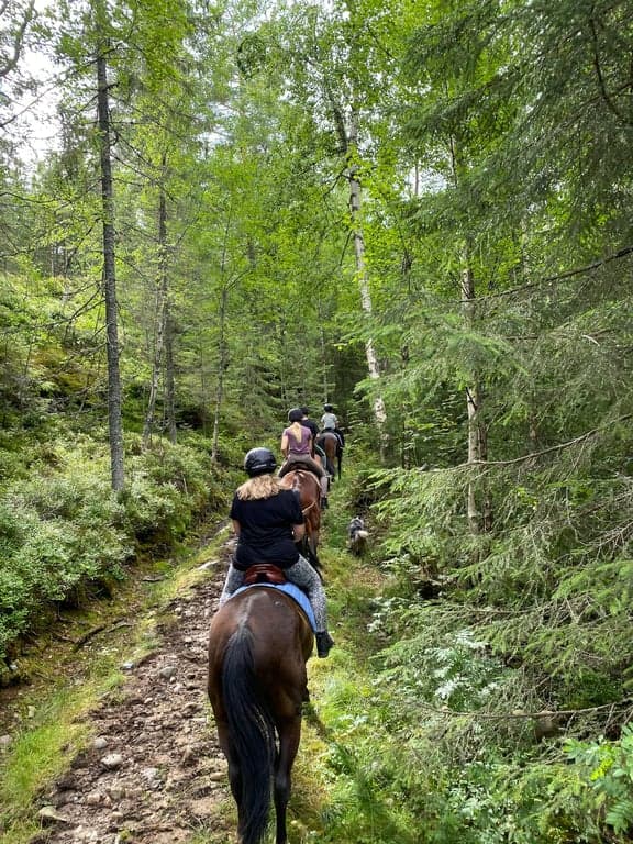 Thumbnail 2 of TEST ONLY - Willow Creek Group Weekend Trail Ride