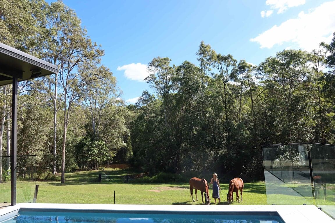 Thumbnail 3 of Endeavour Grey - Mothar Mt Horse & Guest Stay