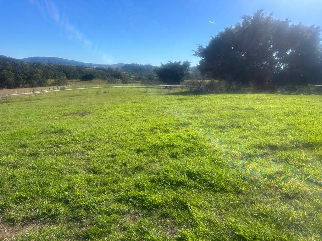 Thumbnail 9 of Kandanga Equestrian Center