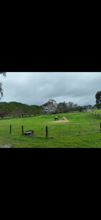 Thumbnail 6 of Tropical As Horse Agistments