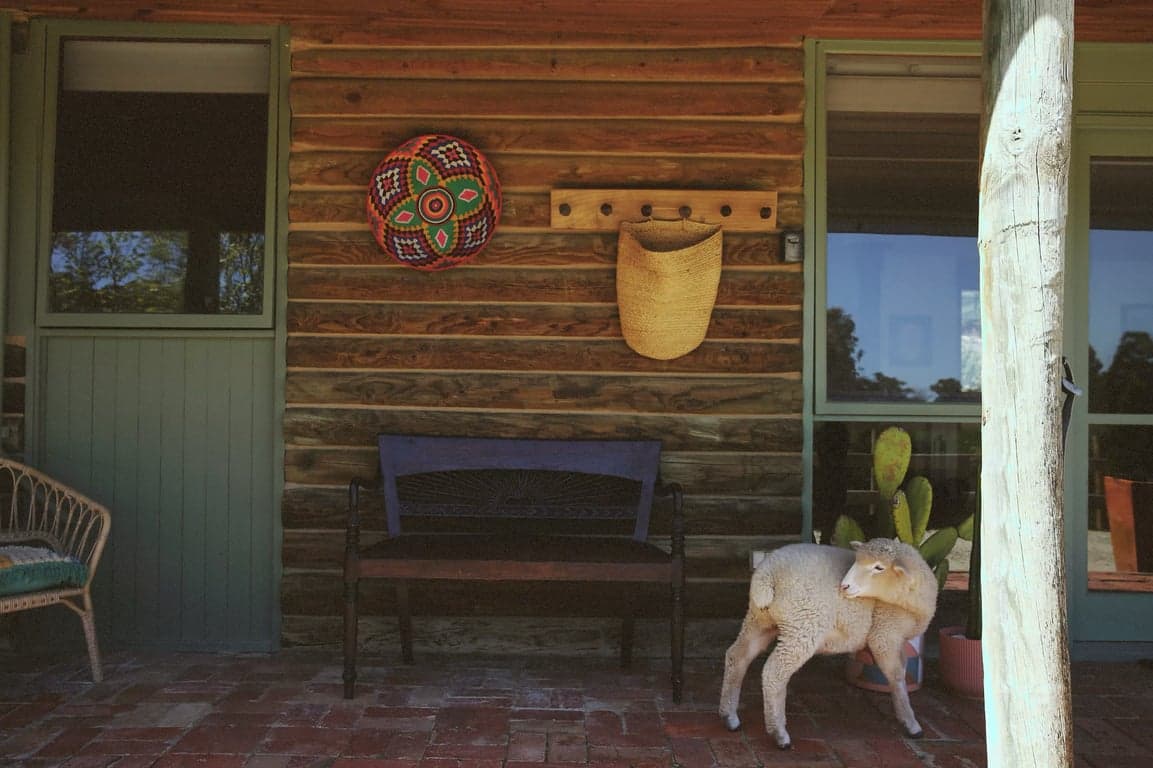 Thumbnail 10 of Harvest Ranch Holiday with your Horse