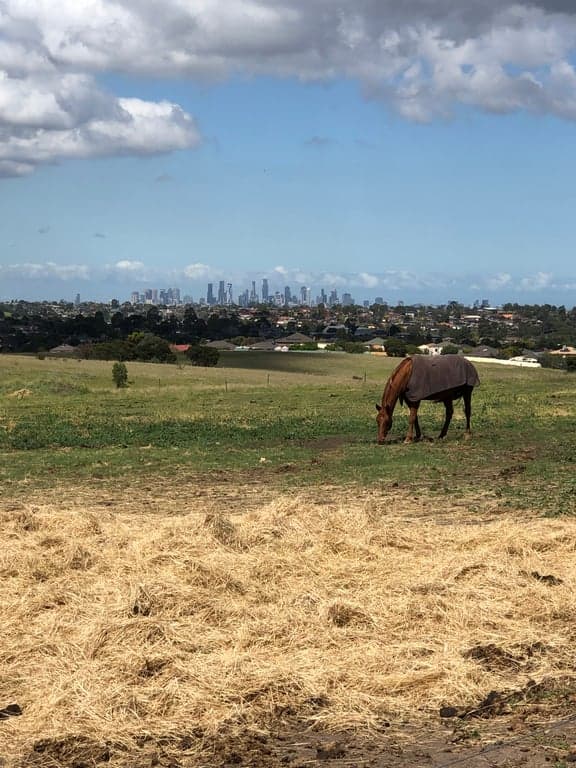 Amazing close to city Melbourne Boutique Horse Agistment, Greenvale, VIC (photo 1)
