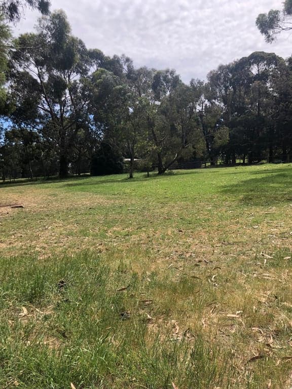 Farm Stay at Sherwood Park bed and breakfast BYO horse, Somerville, VIC (photo 9)