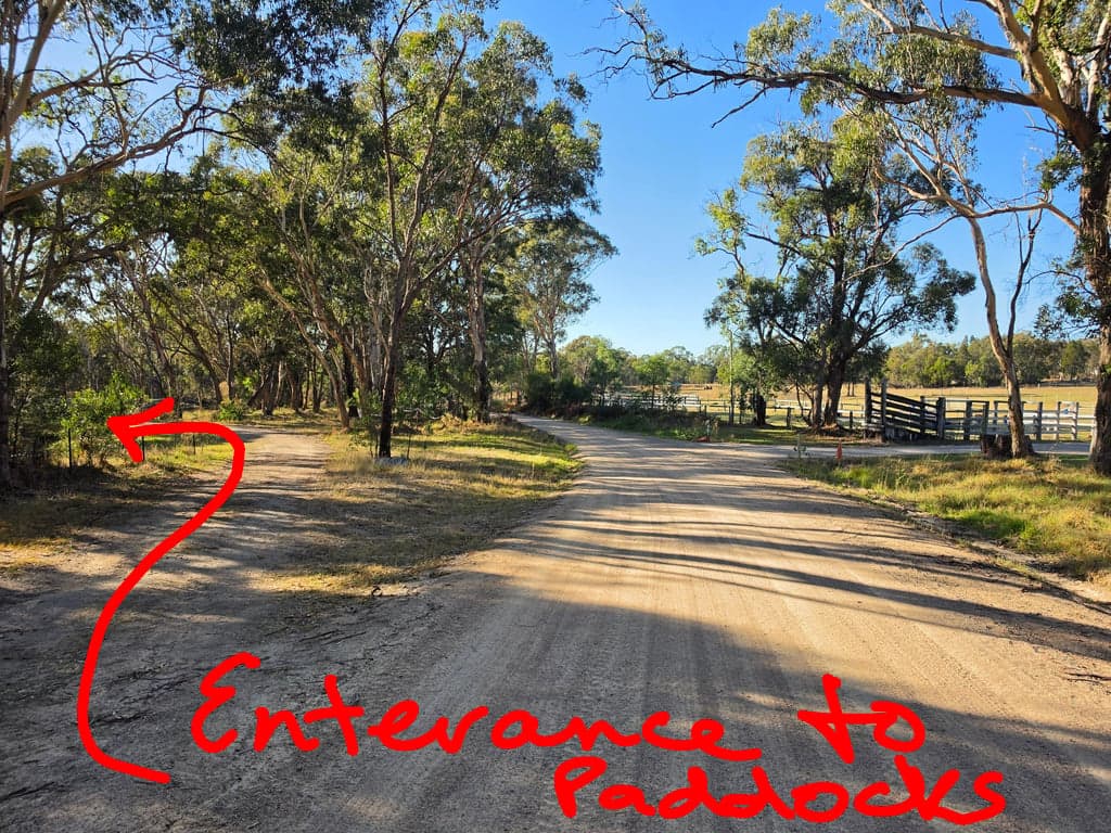 Thumbnail 9 of Donnellys Castle Bush & Horse Paddock Camping