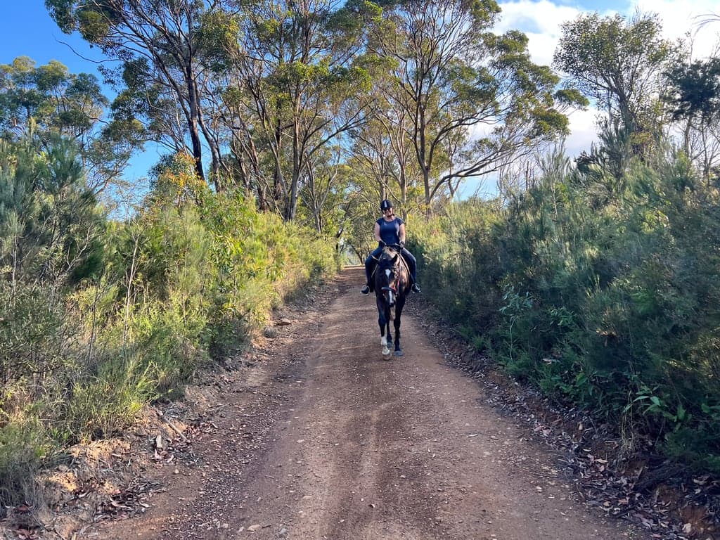 Thumbnail 9 of Farm stay with paddock and trails at the frontdoor