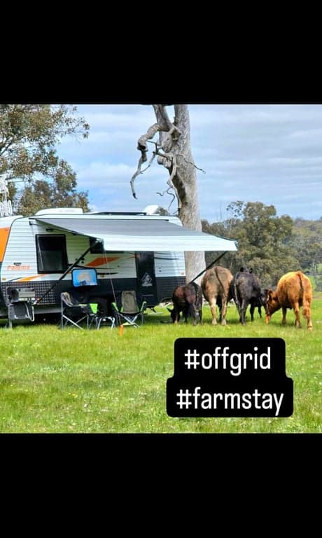 Thumbnail 8 of Haddlestone Farm.
Camp with your horse and ride for miles!