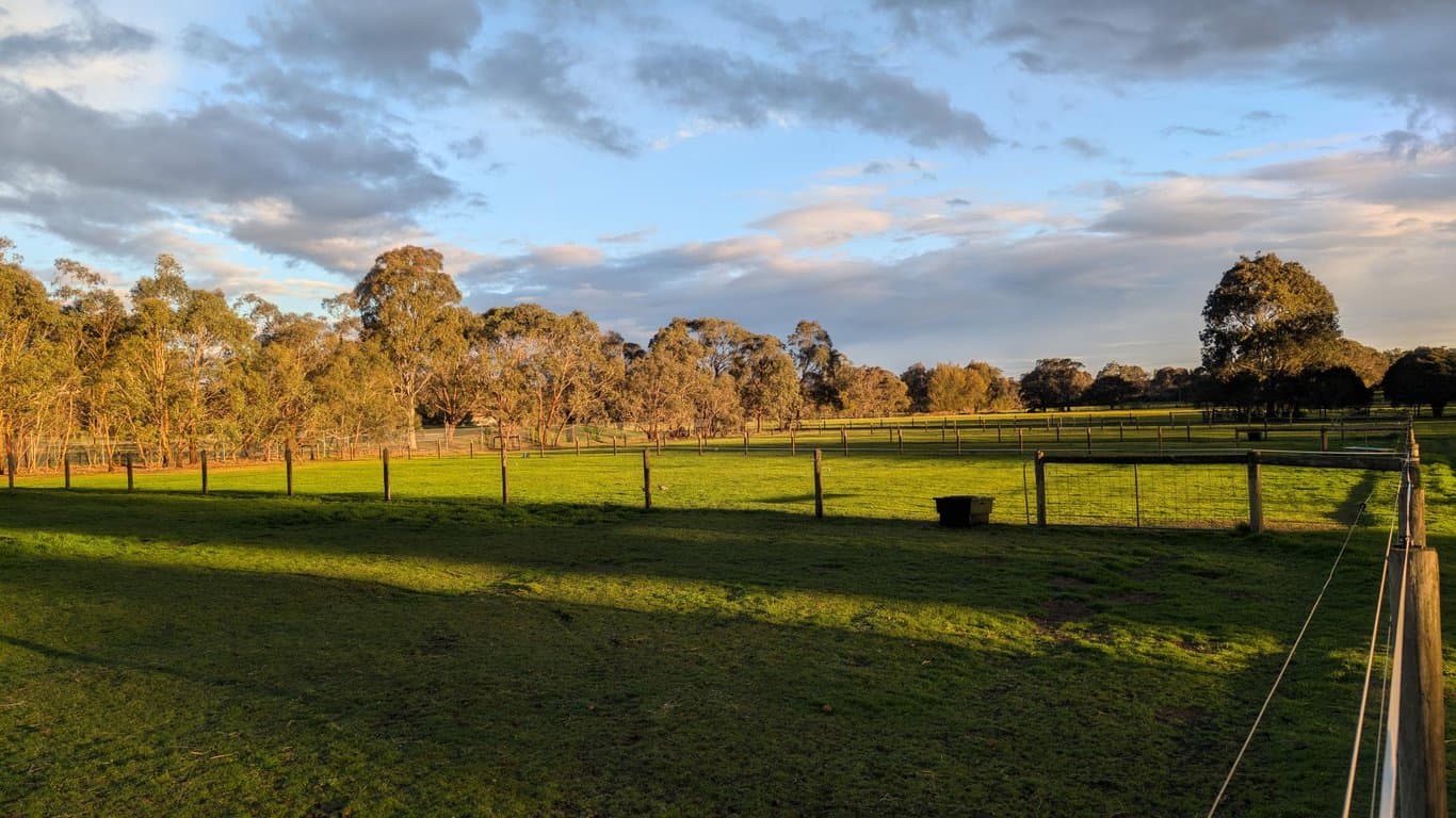 Photo of Middle Corral | Horse Agistment in Pearcedale