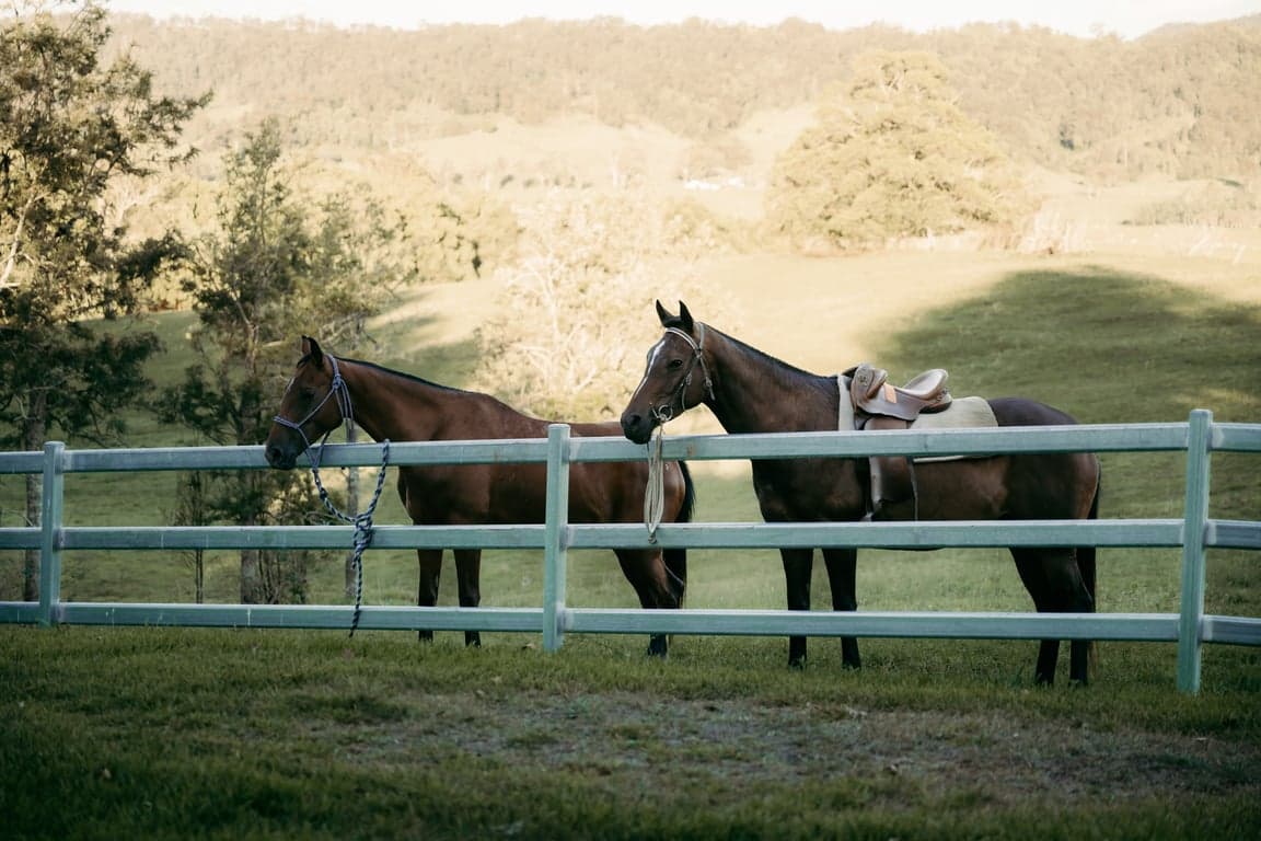 Thumbnail 3 of BYO Horse Farmstay – Scenic Trails & Open Pastures