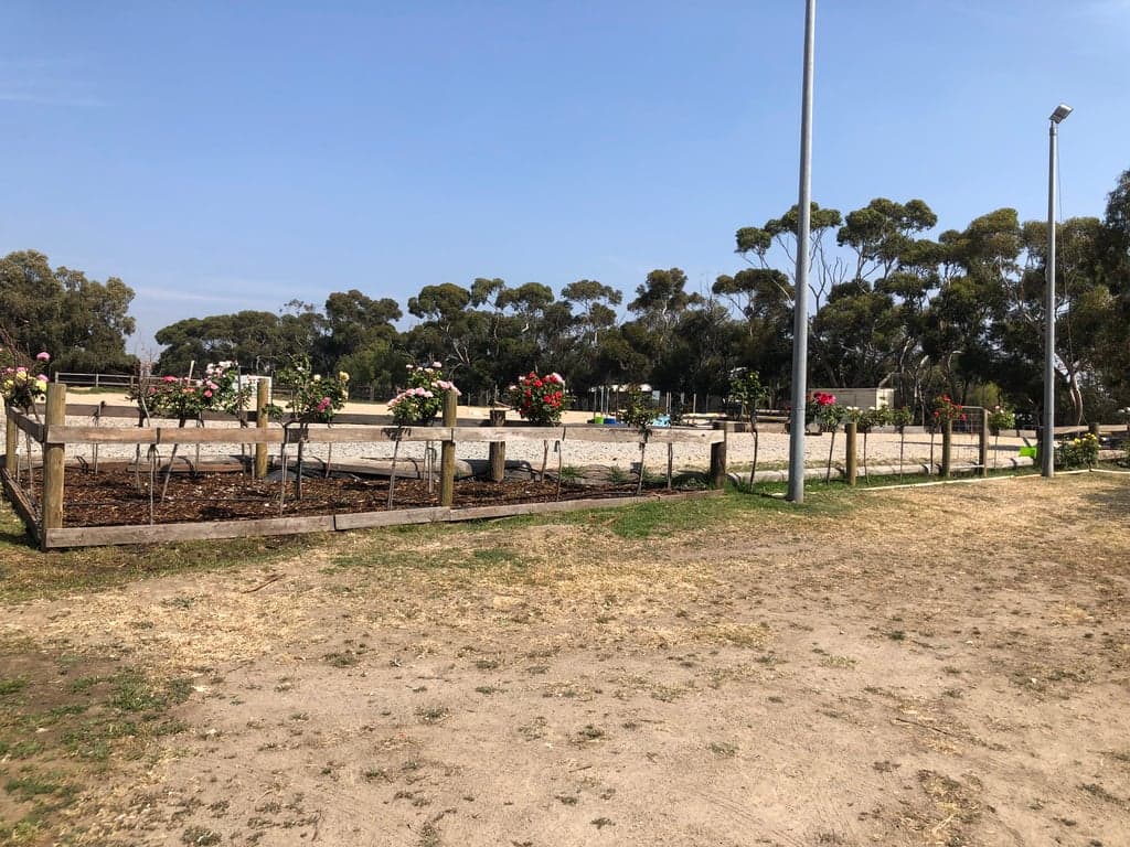 Amazing close to city Melbourne Boutique Horse Agistment, Greenvale, VIC (photo 2)
