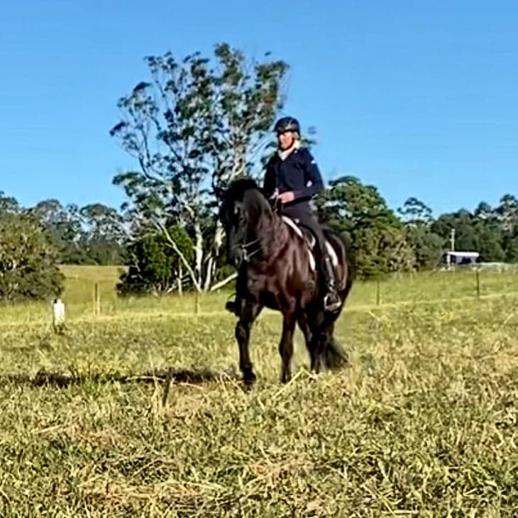 Thumbnail 5 of Balanced Lessons for Horse & Rider