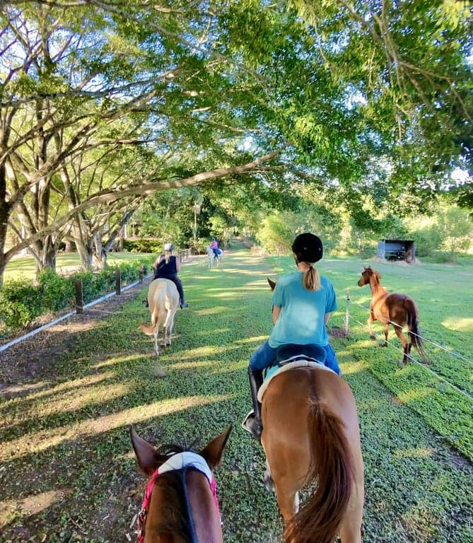 Horse Agistment at Private paddock available NOW for 1 horse, Forest Glen, QLD (photo 6)