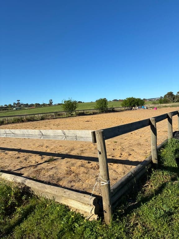 Farm Stay at Wine, horses, beaches, forests, sunsets...heaven on earth!, McLaren Vale, SA (photo 4)