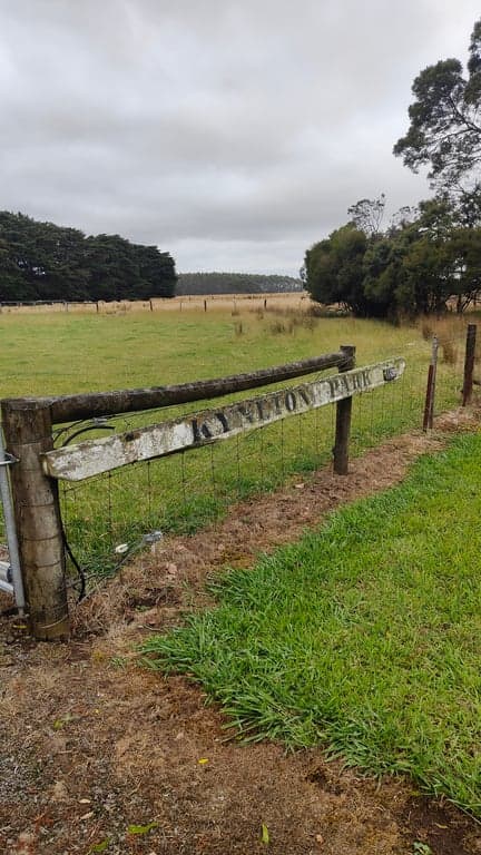 Thumbnail 2 of Perfect resting place for you and your 4 legged friends
