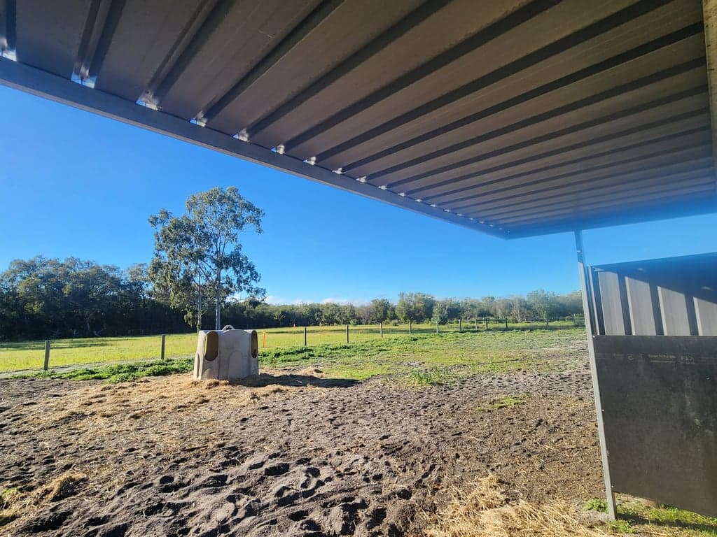 Whitegums agistment, Hopeland, WA (photo 5)
