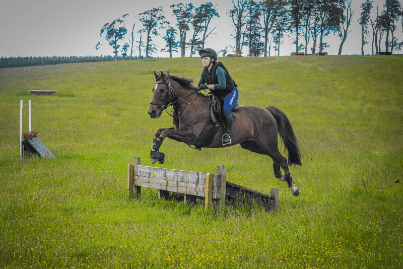 Thumbnail 2 of Valery Horse Stayz