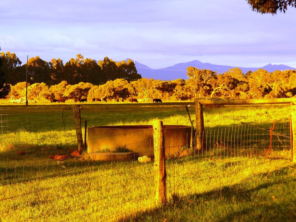 Thumbnail 10 of SAFE FOR HORSES AND COSY ACCOMMODATION FOR THEIR RIDERS