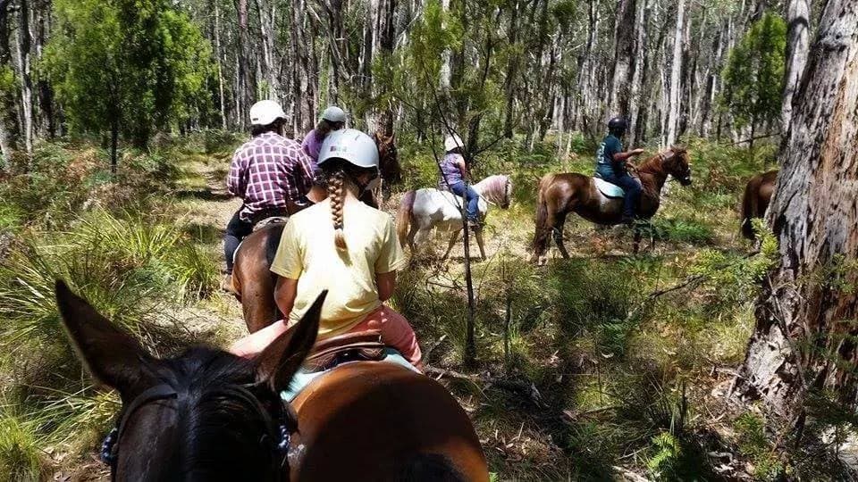 Thumbnail 8 of Cobboboonee Bunkhouse. Group stay with your horses