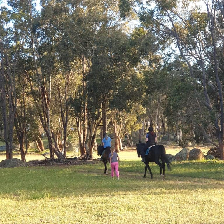 Photo of Haddlestone Farm.
Camp with your horse and ride for miles!