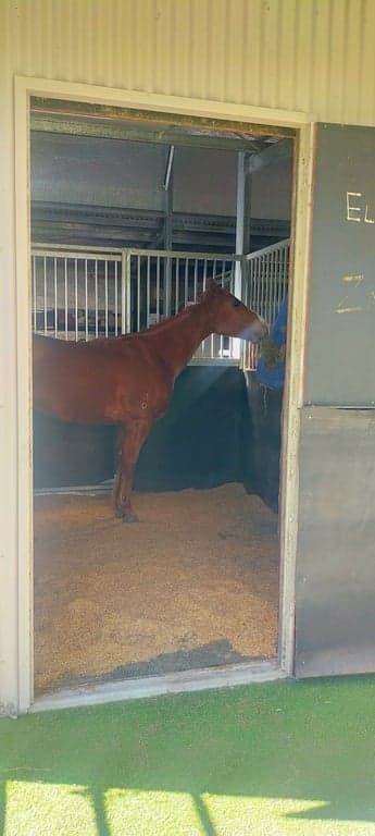 Thumbnail 2 of Short stays for humans and their horses.  Paddock or stable.