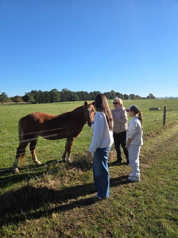 Farm Stay at Coo's and Ewe's, Nicholson, VIC (photo 4)
