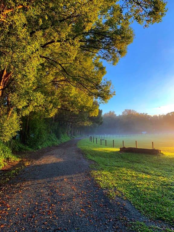 Photo of Ubuntu Horse & Farm Stay in Tallebudgera