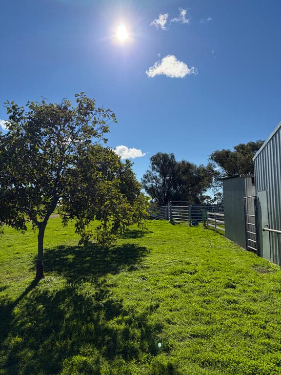 Thumbnail 8 of Inering Mullaley Farmstay