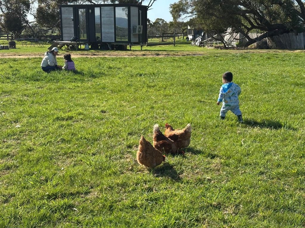 Bush retreat farm stay, Alberton West, VIC