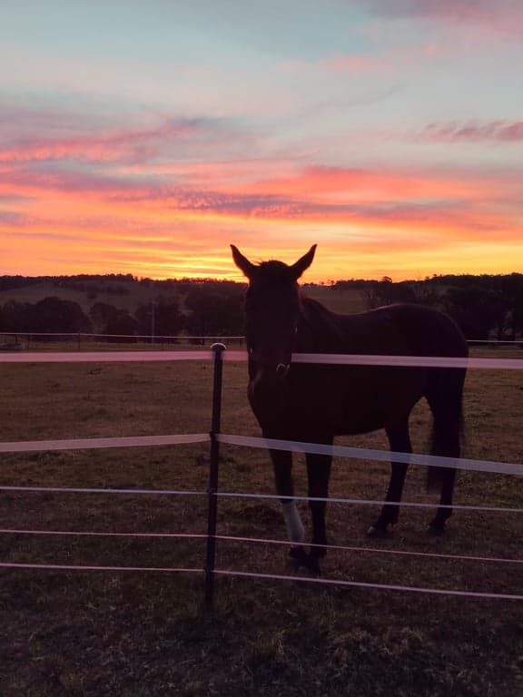 Barbera Creek Estate – Premium Country Agistment, Flaggy Creek, VIC (photo 2)