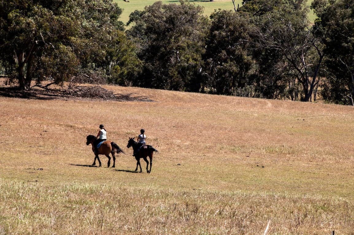 Thumbnail 5 of Haddlestone Farm.
Camp with your horse and ride for miles!